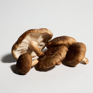 AHCC ingredient