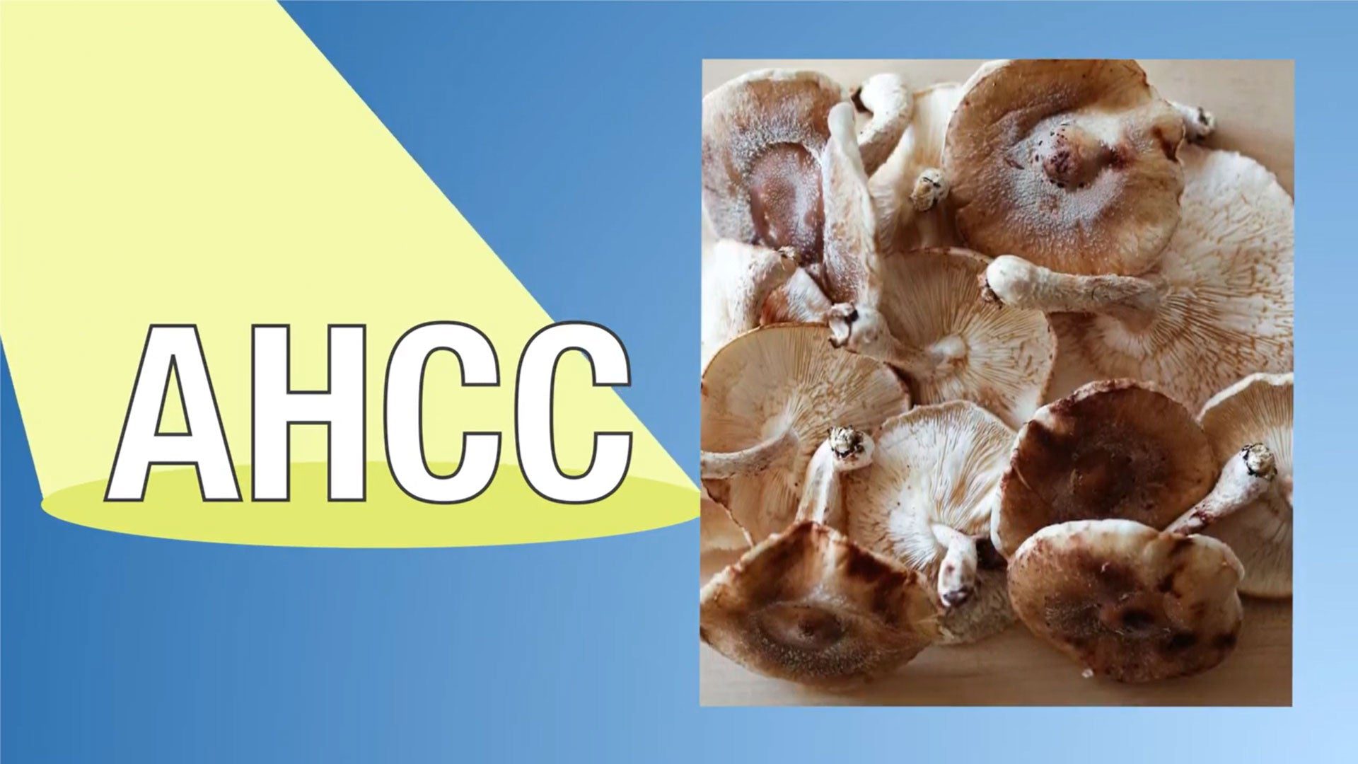 Quality of Life's Immuno Complex for Immune Support!